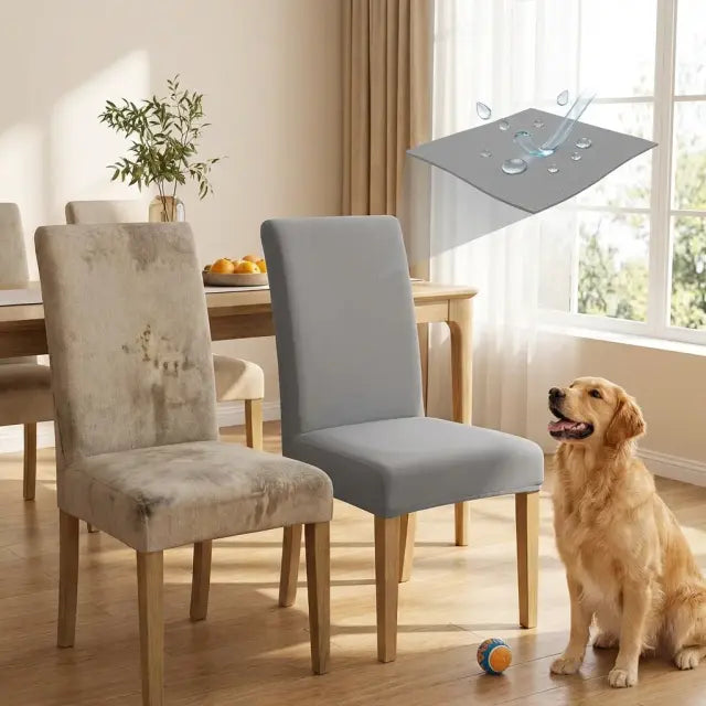 OFERTA EN FUNDAS ELÁSTICAS GRATIS CAMINO DE MESA ⭐️⭐️⭐️⭐️⭐️5/5