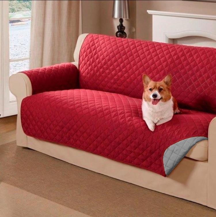 ❇️PROTECTORES DE SOFAS PRECIOS SUPER ECONOMICOS ⭐️⭐️⭐️⭐️⭐️5/5